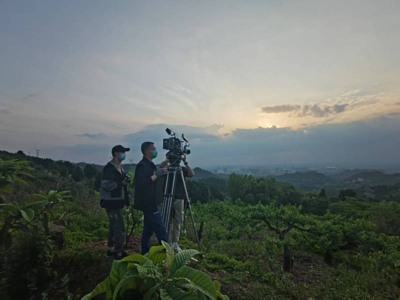 创意破圈！翁源县电商产品宣传视频用故事化叙事引爆流量